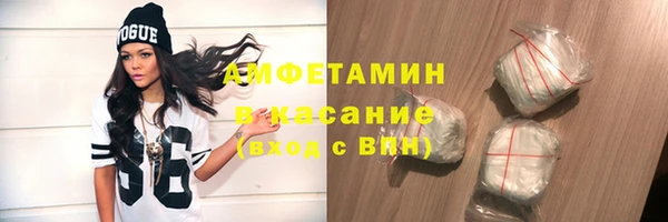 стаф Богданович