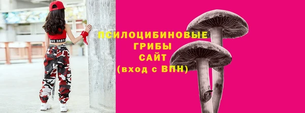 a pvp Дмитровск