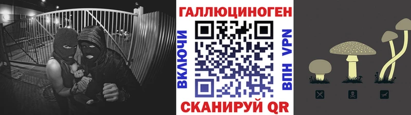 Псилоцибиновые грибы ЛСД  где можно купить наркотик  Енисейск 